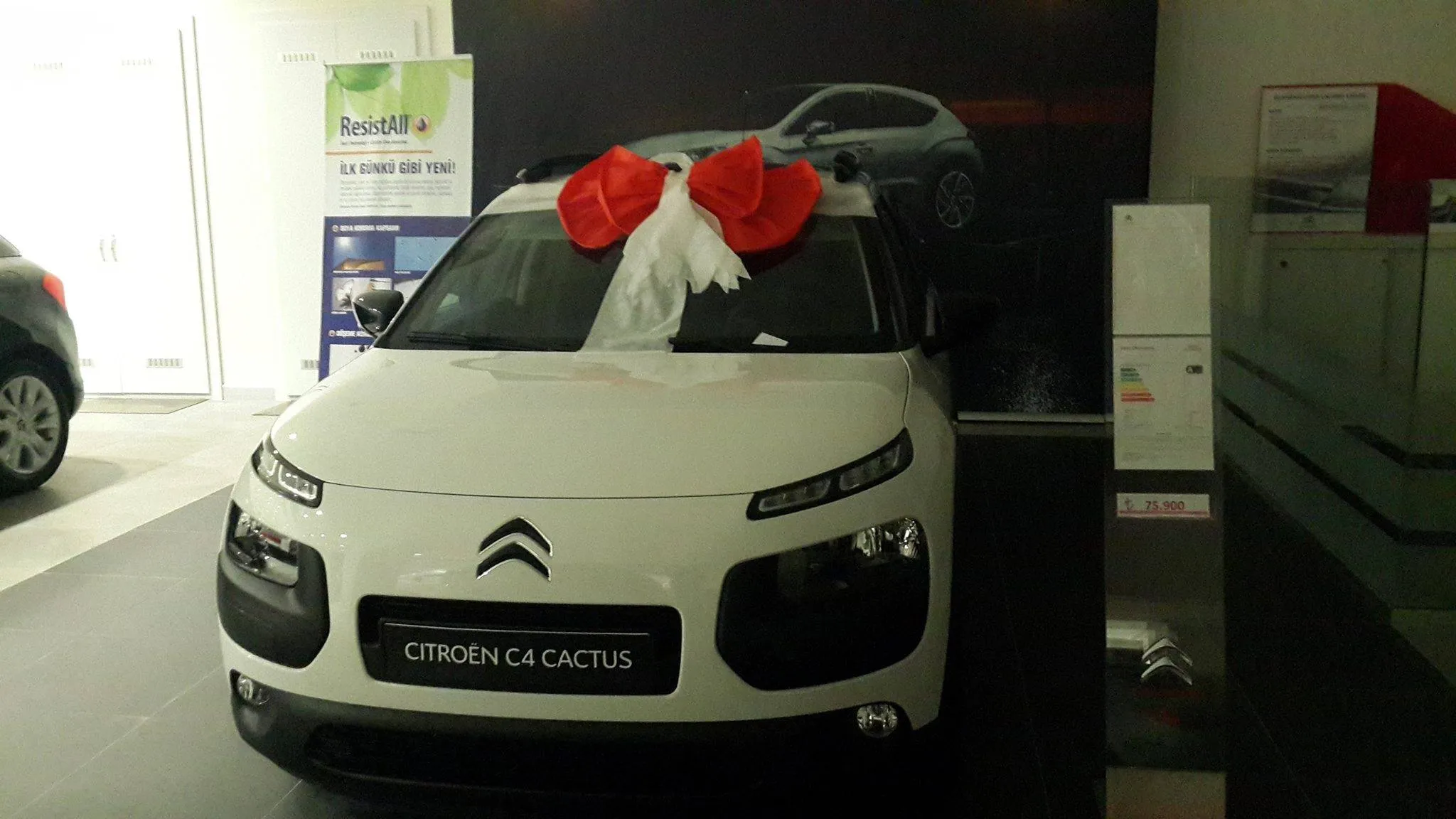 Ankara özel gün açık alan piknik organizasyonu